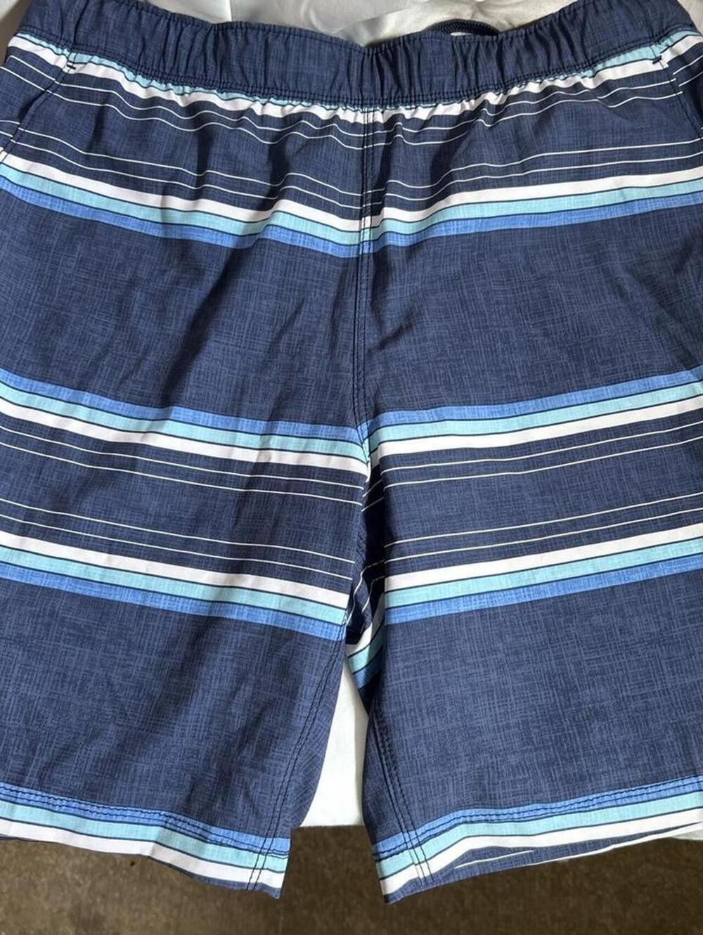 Speedo Men's Blue and Navy Swim-briefs-short